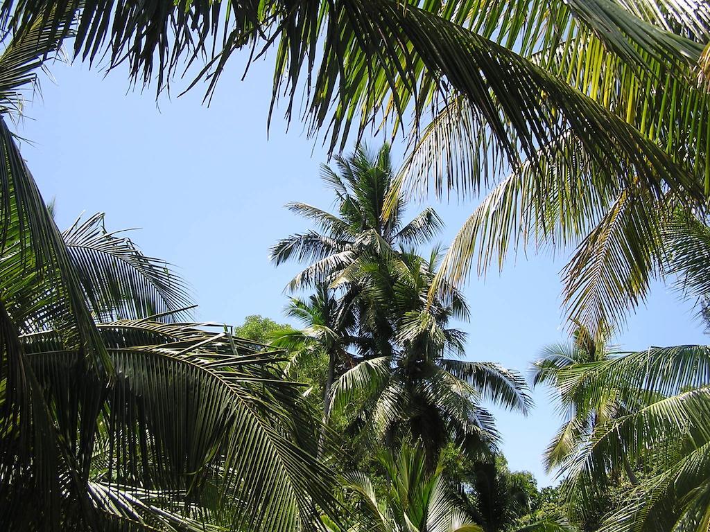 North Borneo Biostation Resort Kudat Εξωτερικό φωτογραφία