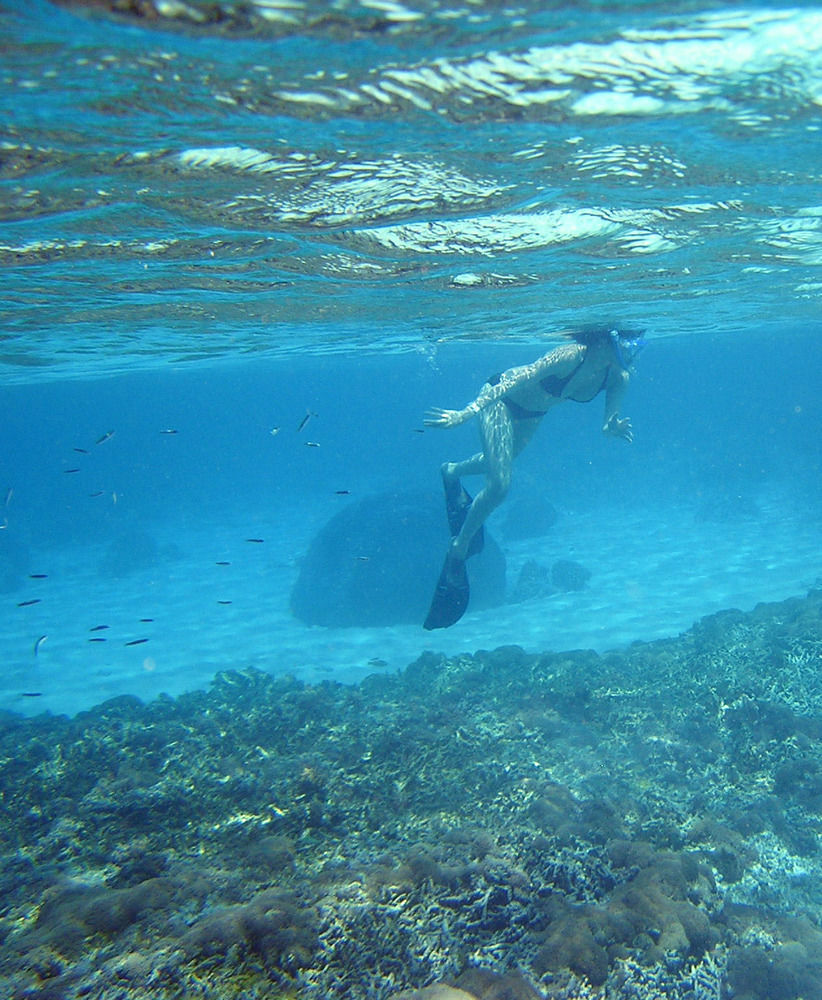 North Borneo Biostation Resort Kudat Εξωτερικό φωτογραφία