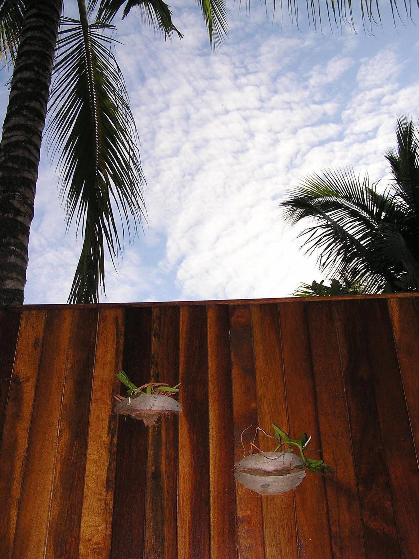 North Borneo Biostation Resort Kudat Εξωτερικό φωτογραφία