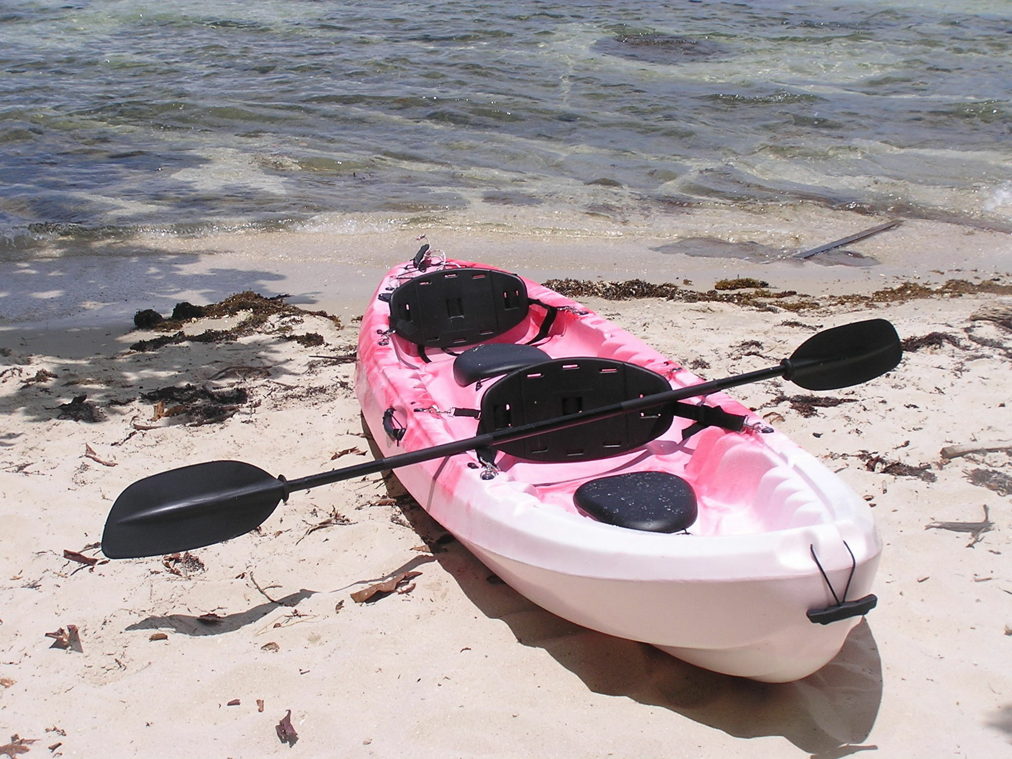 North Borneo Biostation Resort Kudat Εξωτερικό φωτογραφία